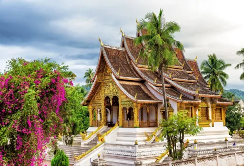 Ornate golden Buddhist temple with intricate carvings in Luang Prabang, Laos, surrounded by palm trees and vibrant bougainvillea flowers.