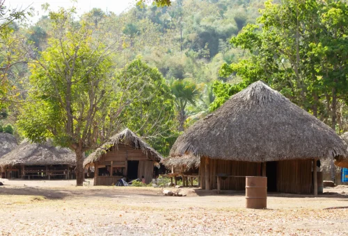Traditional thatched-roof huts in a tribal village setting, surrounded by lush green trees and forested hills in the background.