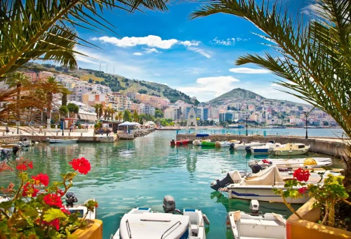 Scenic coastal harbor lined with small boats, tropical palm trees, and red flowers, with pastel-colored buildings and lush green hills in the background under a vibrant blue sky.