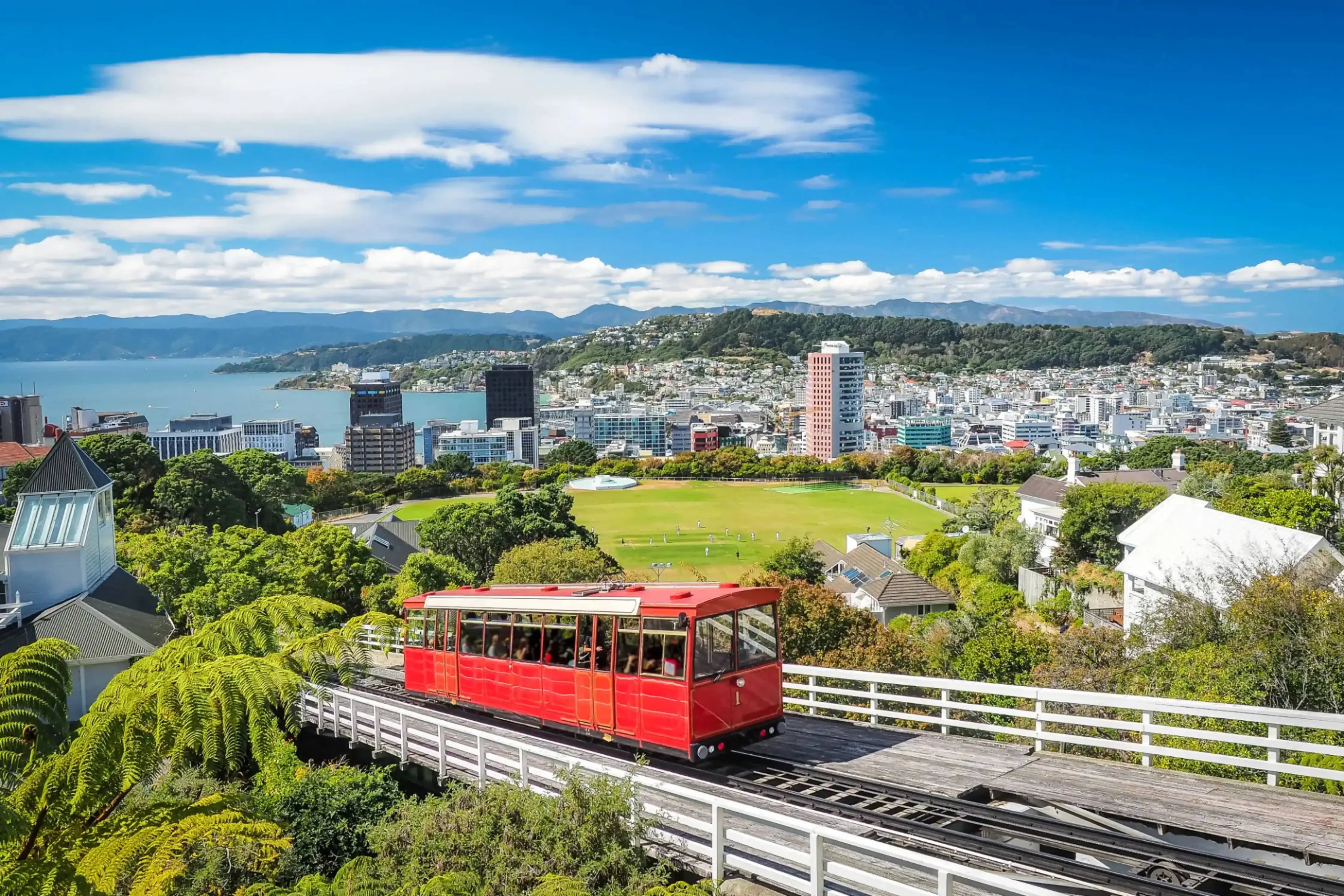 Red cable car ascending through lush greenery with panoramic views of Wellington city and harbor under a clear blue sky