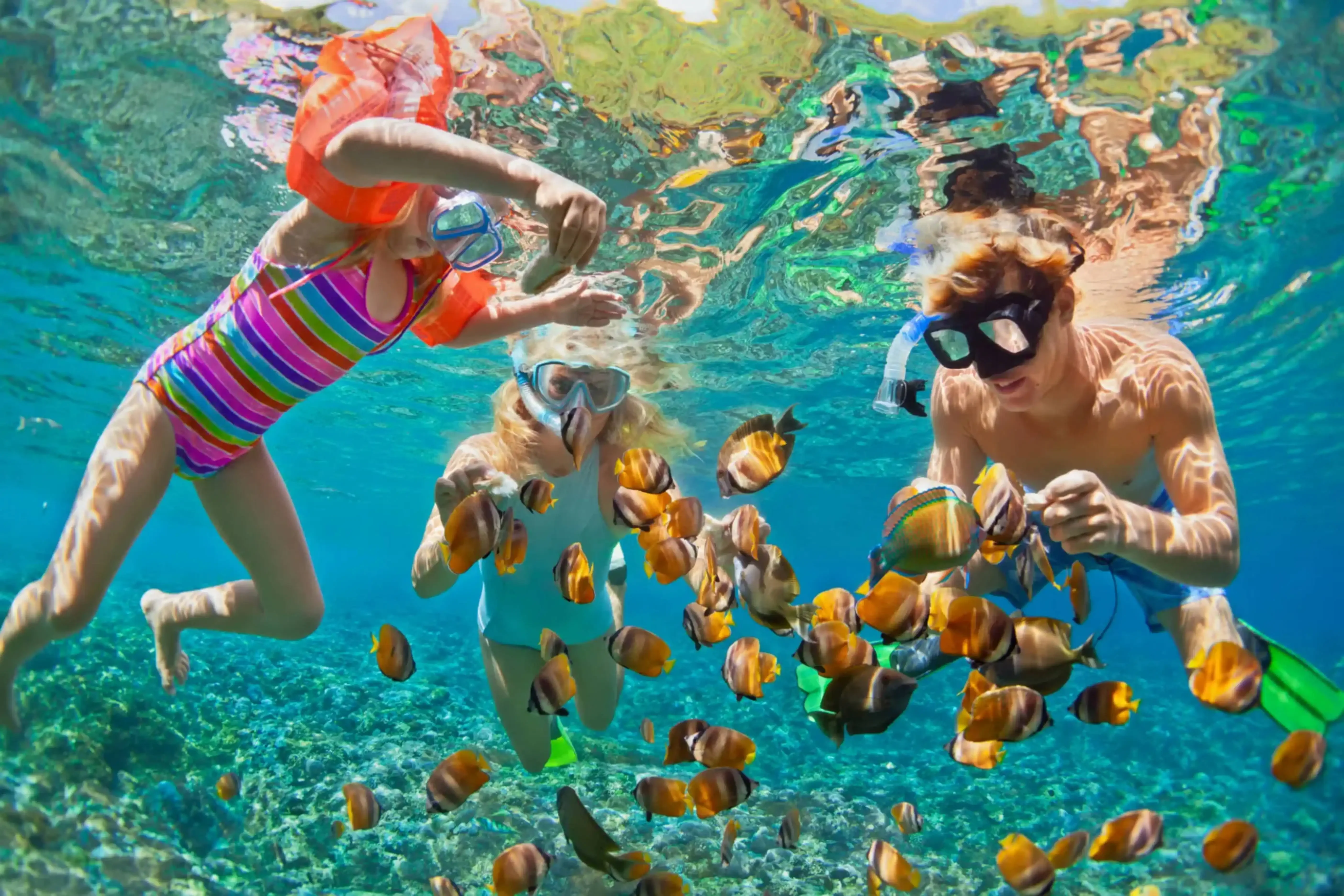 Family snorkeling in crystal-clear tropical waters surrounded by colorful fish