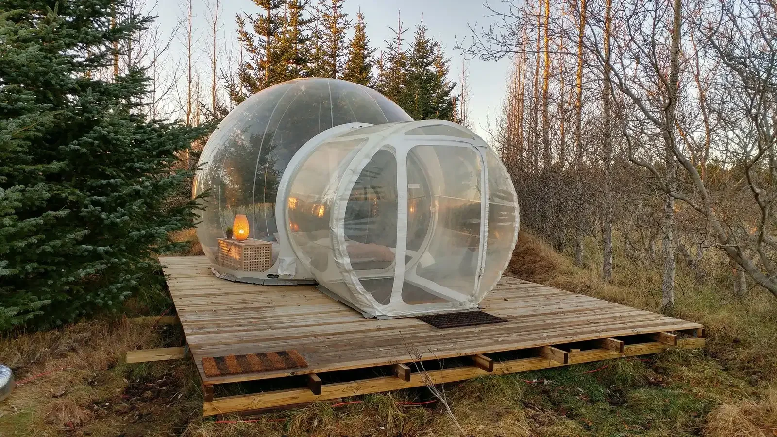 Transparent bubble tent glamping dome in forest clearing for luxury stargazing experience