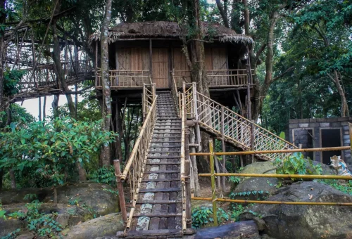 "Rustic treehouse made of bamboo and wood with staircase access, nestled in a dense forest setting"
