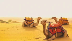 Jaisalmer