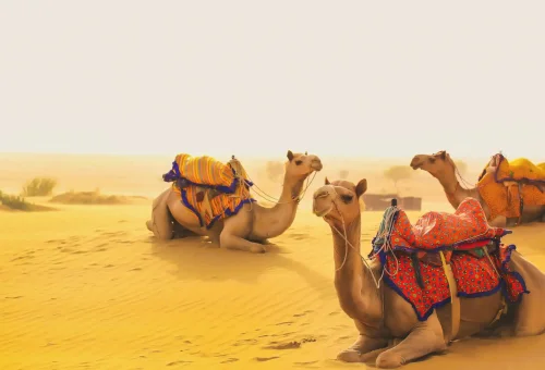 jaisalmer in Rajasthan Tours