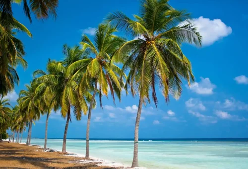 lakshadweep tour packages