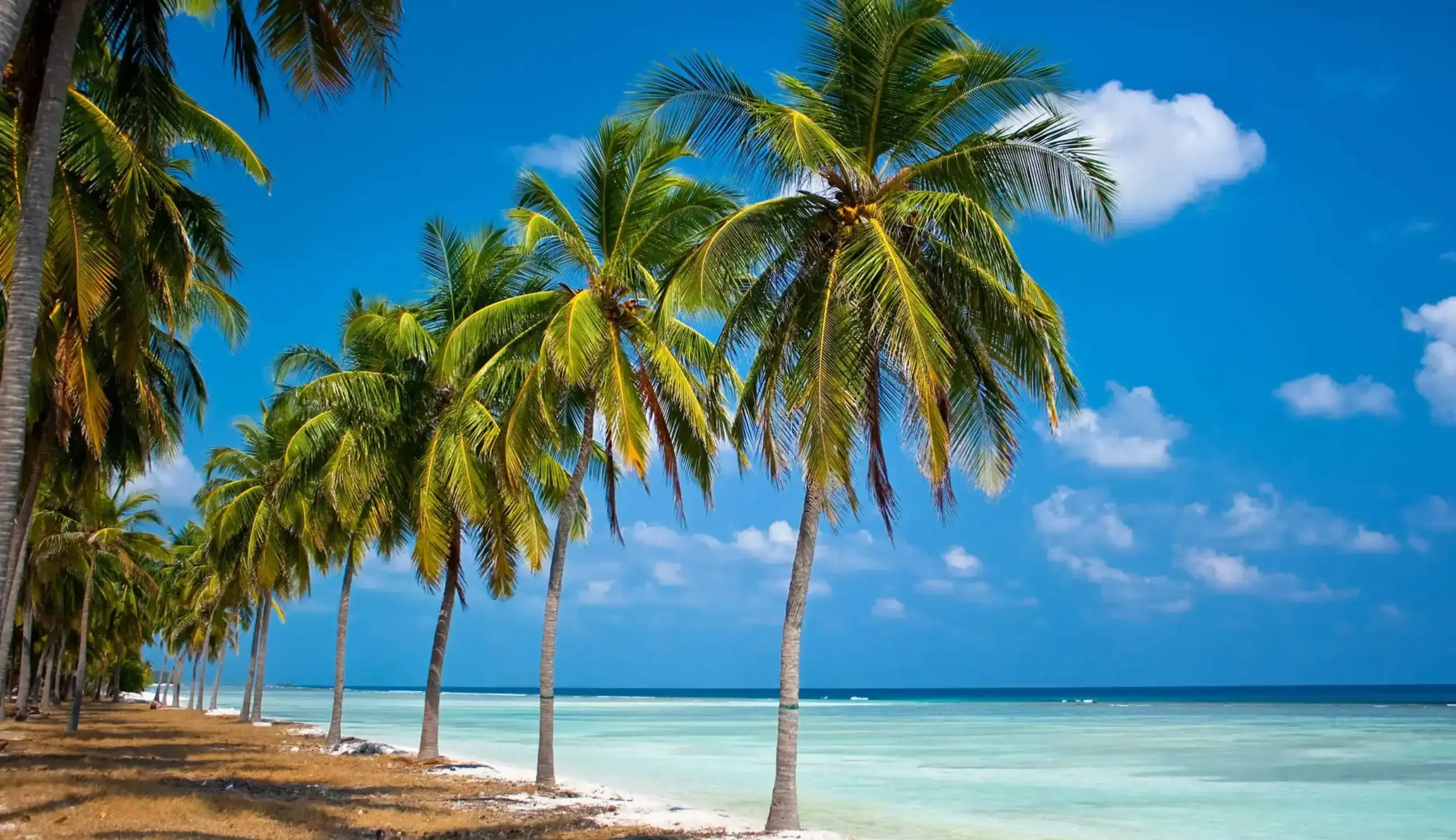 lakshadweep tour packages