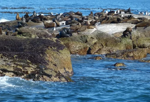 south-africa-997531_1280