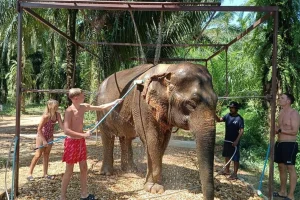 Private elephant bathing experience in Khao Sok National Park Thailand