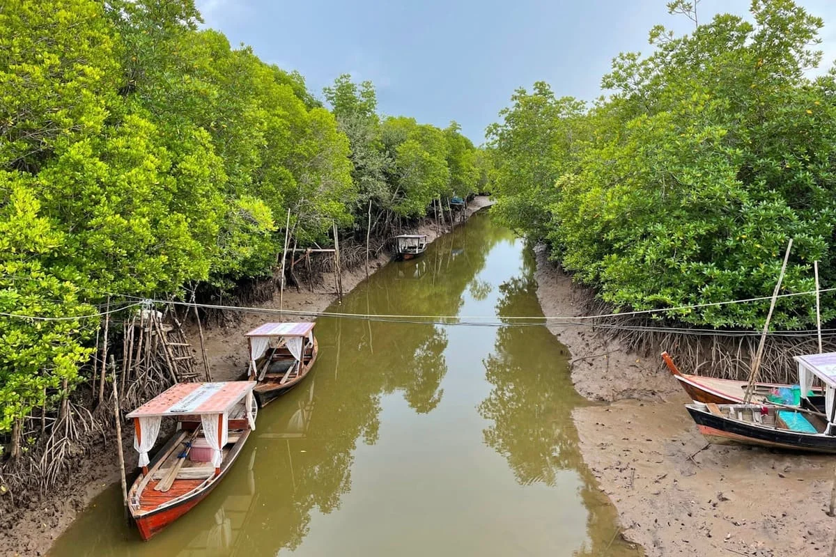 Koh Lanta Longtail Boat Mangrove Tour