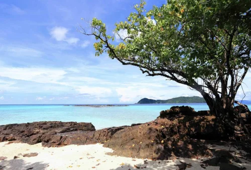 Guests snorkeling from a luxury catamaran in crystal-clear Andaman Sea waters.