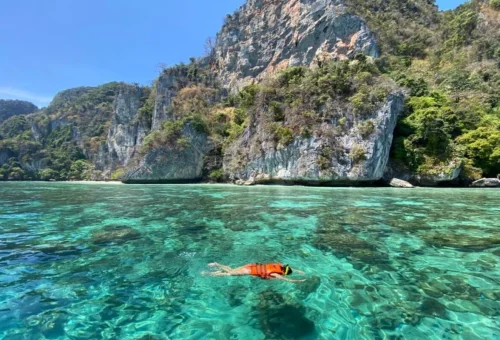 Traveler snorkeling in clear turquoise water during a private Phi Phi tour