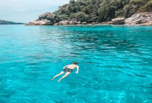 Traveler snorkeling in the clear waters of Similan Islands on a private speedboat tour