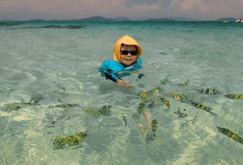 Child snorkeling in clear shallow water at Khai Islands Phuket