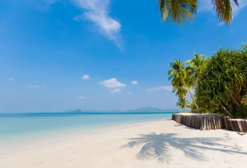 Koh Kradan tropical beach with palm trees in Thailand