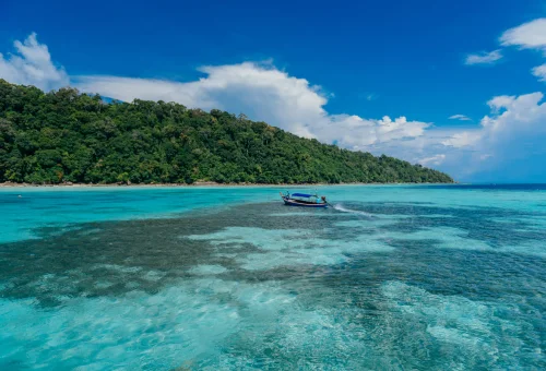 Surin Islands coral reef and snorkeling in Thailand