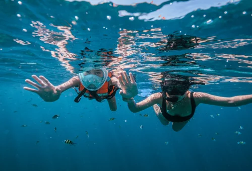 Snorkelers exploring coral reef at Surin Islands Thailand