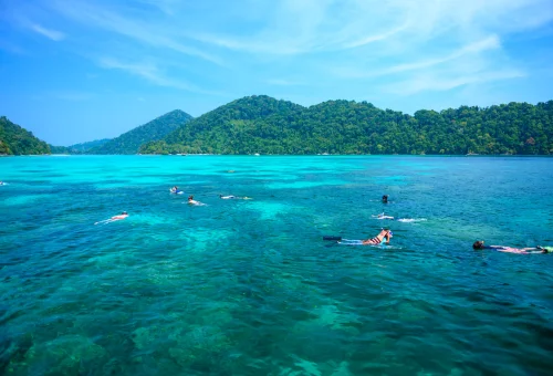 Snorkelers in turquoise water at Surin Islands