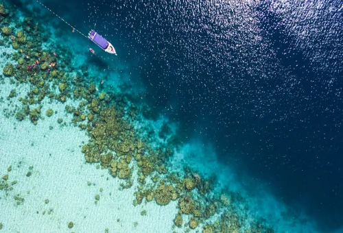 Aerial view of Surin Islands coral reef and speedboat