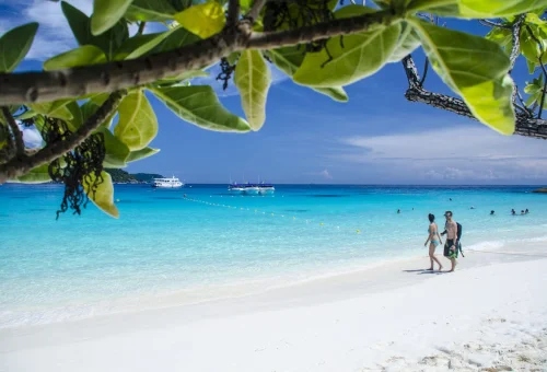 Crystal-clear water and white sand beach at Similan Islands