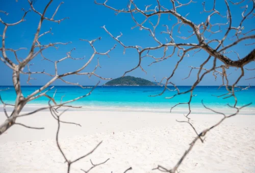 Beautiful tropical beach and turquoise sea at Similan Islands