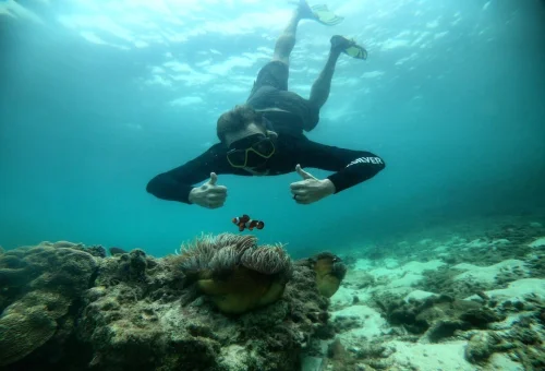 Snorkeler exploring coral and clownfish during a Krabi 4 Islands tour