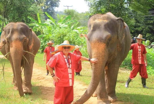 Chiang Mai Elephant Rescue Park Caring Elephants 05