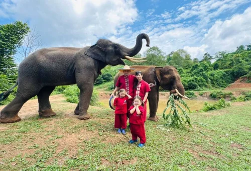 Chiang Mai Elephant Rescue Park Family Care 04