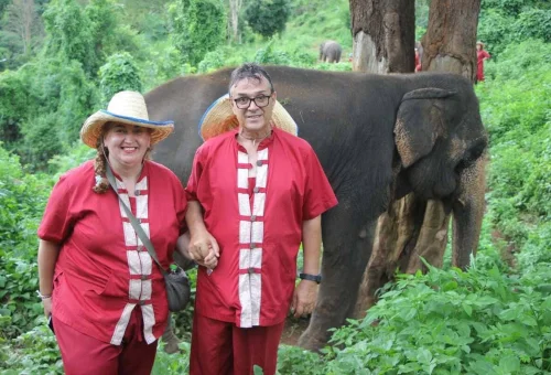 Guests walking alongside a rescued elephant at Elephant Rescue Park Chiang Mai