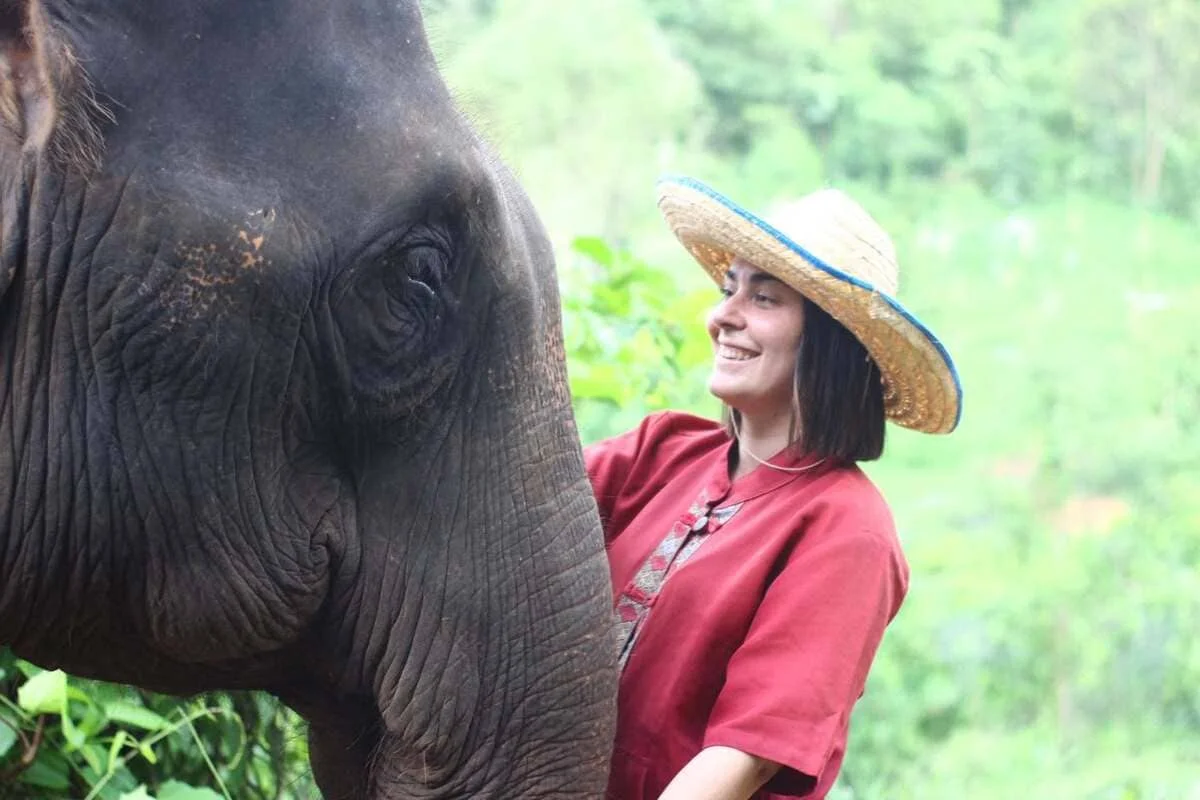 Close encounter with a rescued elephant during a caring experience at Elephant Rescue Park Chiang Mai
