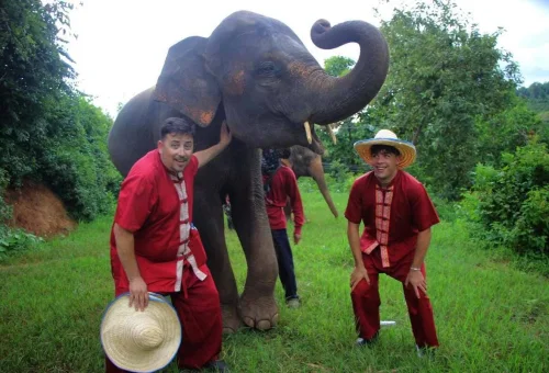Visitor observing a rescued elephant in the natural surroundings of Chiang Mai Elephant Rescue Park