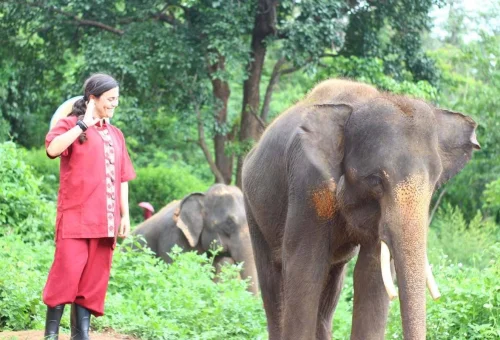 Visitors enjoying an ethical elephant experience surrounded by nature in Chiang Mai