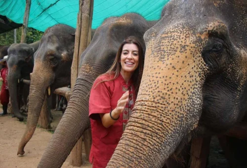 chiang-mai-elephant-rescue-park-elephant-caring