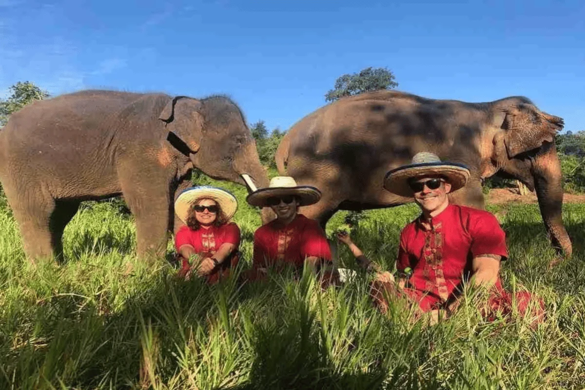 Guests enjoying a full-day ethical elephant experience with rescued elephants in Chiang Mai