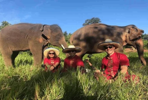 Guests enjoying a full-day ethical elephant experience with rescued elephants in Chiang Mai