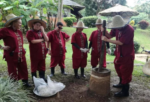 Visitors learning about traditional elephant care during a full-day experience in Chiang Mai