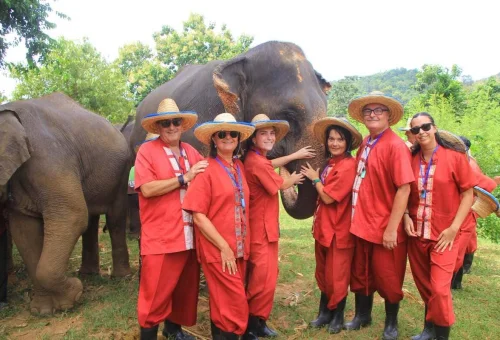 chiang-mai-elephant-rescue-park-full-day-experience-guests