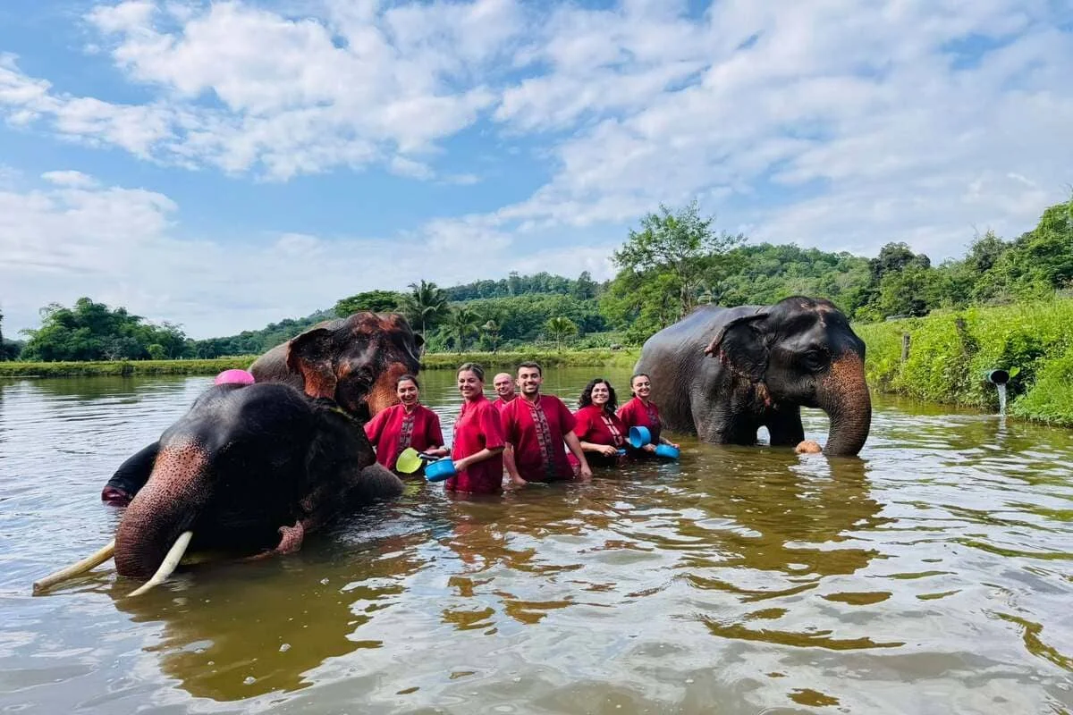 Private group enjoying water activities with elephants in Chiang Mai