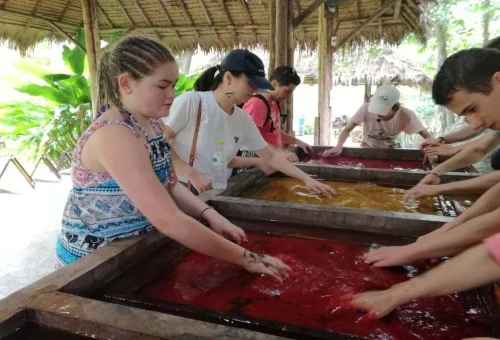 Guests preparing poop paper during a private Chiang Mai elephant full-day experience