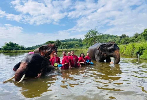 Private group enjoying water activities with elephants in Chiang Mai