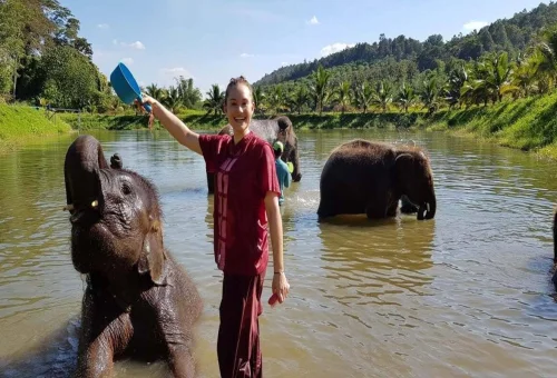 Guest enjoying water activities with elephants in Chiang Mai Thailand