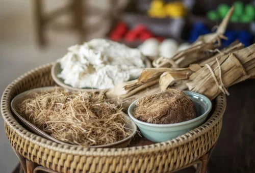 Natural materials used for elephant poop paper making at Elephant Jungle Sanctuary Chiang Mai