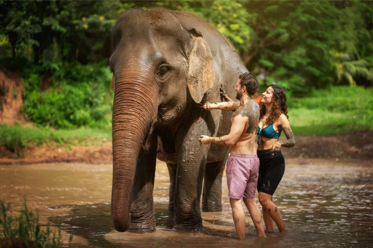 Visitors enjoying an elephant experience in the water at Chiang Mai sanctuary