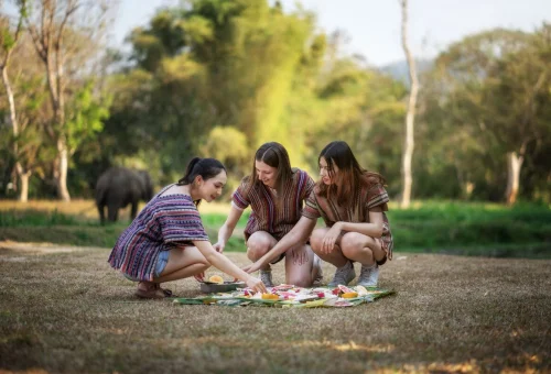 Chiang Mai Elephant Sanctuary Elephant Food Preparation