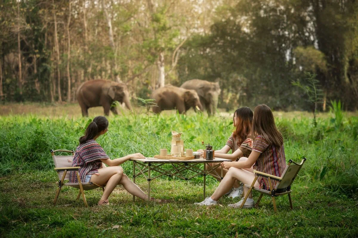Visitors relaxing outdoors while watching elephants at Elephant Jungle Sanctuary Chiang Mai