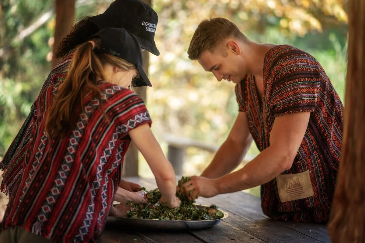 Visitors preparing fresh food for elephants during Chiang Mai Elephant Jungle Sanctuary tour