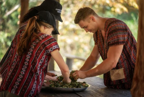 Visitors preparing fresh food for elephants during Chiang Mai Elephant Jungle Sanctuary tour