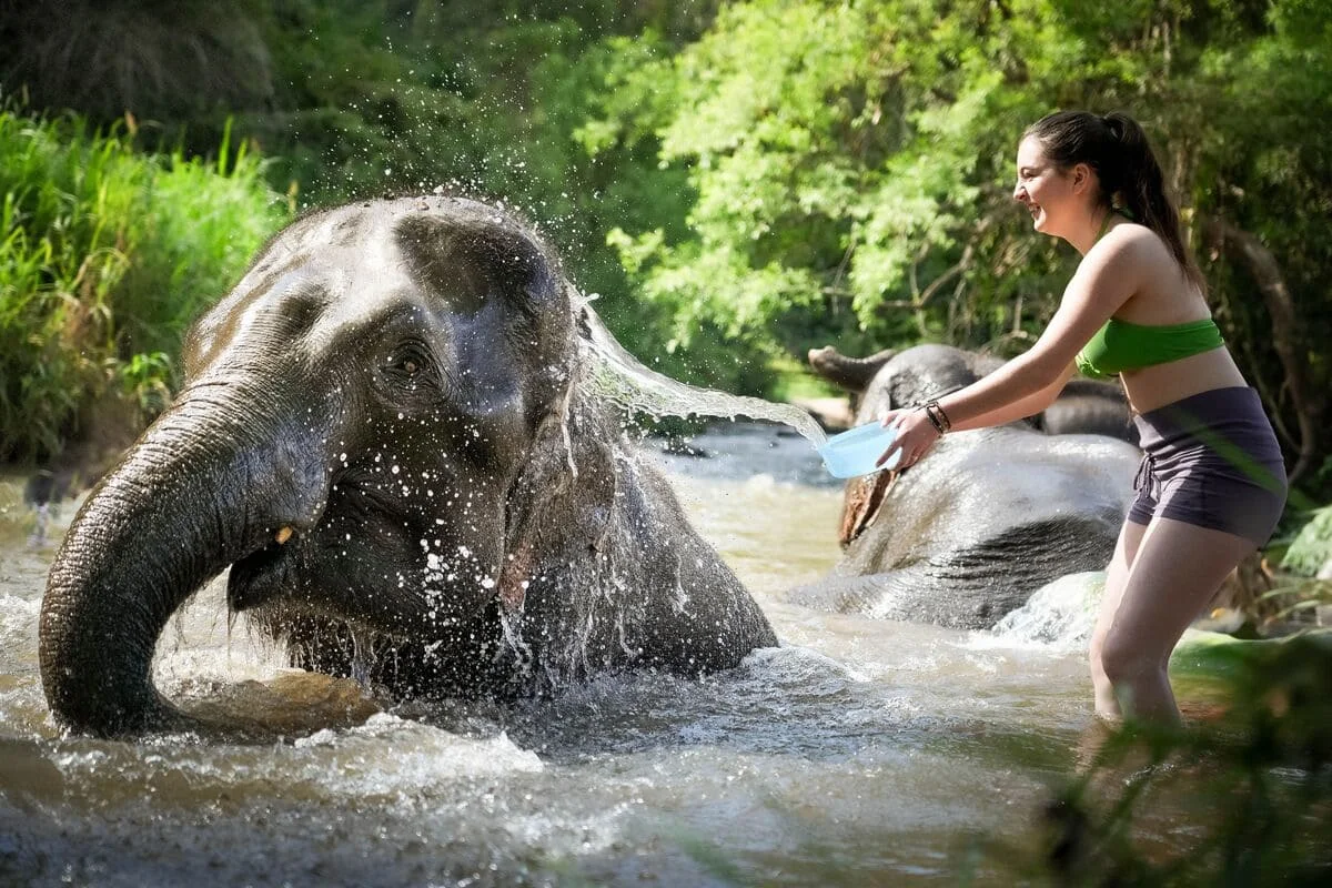 Visitor enjoying an elephant bathing experience during an overnight tour in Chiang Mai