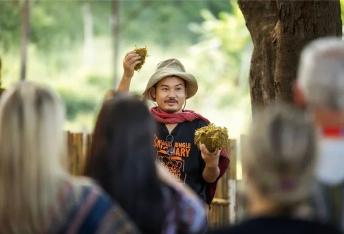 elephant-jungle-sanctuary-guide-chiang-mai