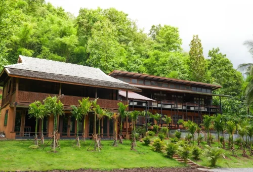 Overnight accommodation surrounded by nature at Elephant Jungle Sanctuary Chiang Mai
